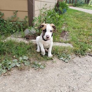 Meet your Posher, Deb